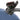 Miele Classic C1 Turbo Team Canister Vacuum